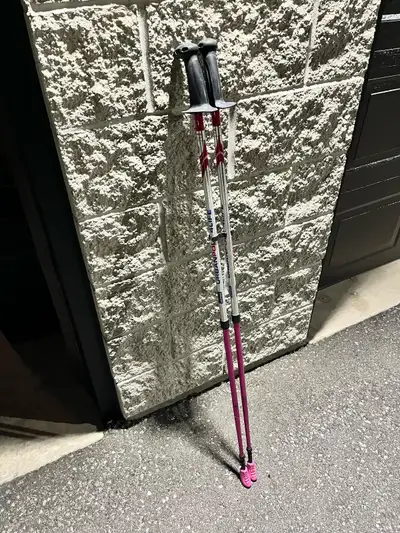 Urban Pole 4Life walking sticks, View more