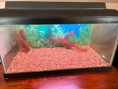 15 Gallon Aquarium And Accessories, View more