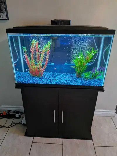 Fish Tank and Cabinet, View more