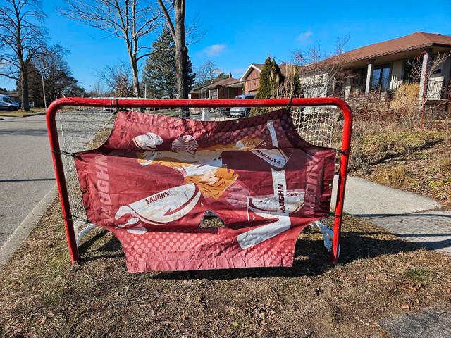 Hockey net in Hockey in City of Toronto - Image 2