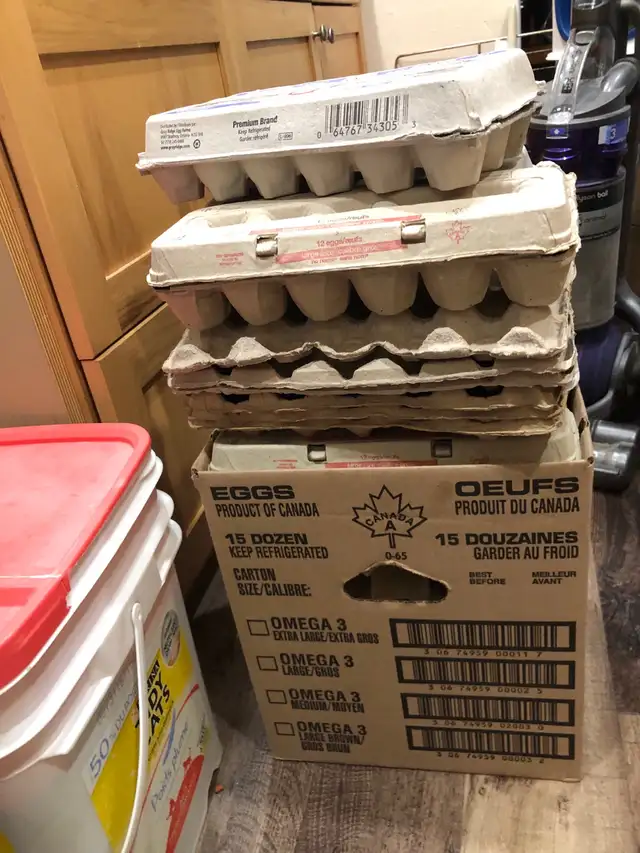 Free Empty  egg carton’s 64551244740481120