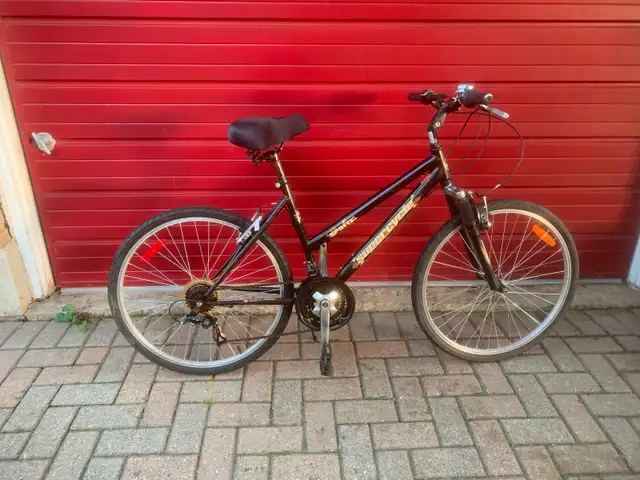 Bicycles and snowblowers for sale July 11  385 Dunvegan Drive. in Other in Kitchener / Waterloo - Image 8