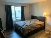1 bed 1 bath apartment for up to 4 months