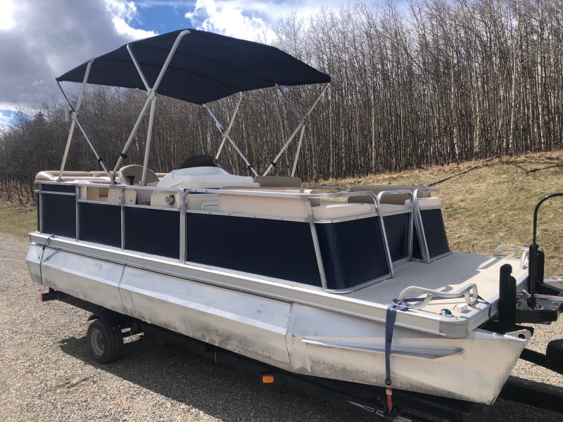 Pontoon Boat, 19ft, updated and affordable Powerboats & Motorboats