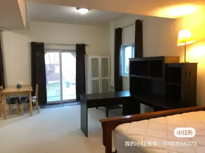 Short Rental- June only $800 / month ( from June 8-30) or $45/day (min. 1 week) Walkout Basement Stu...