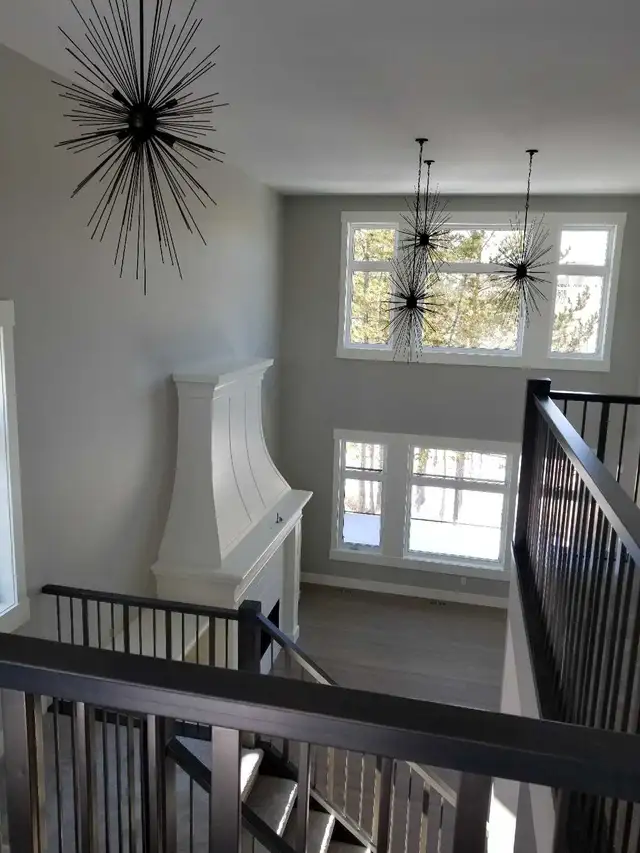 Professional Painter For Professional results561999893539082246