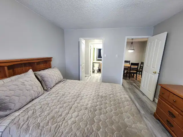 Newly renovated condo