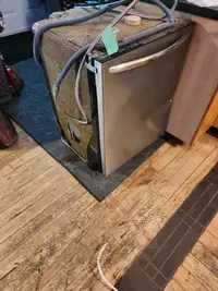 Free dishwasher works sometimes