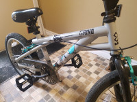 BMX. BICYCLE. 18" FREESTYLE FOR YOUTH. GRIND GAMES.