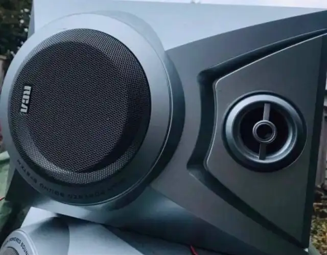 Speakers in Mountain in Delta/Surrey/Langley - Image 2