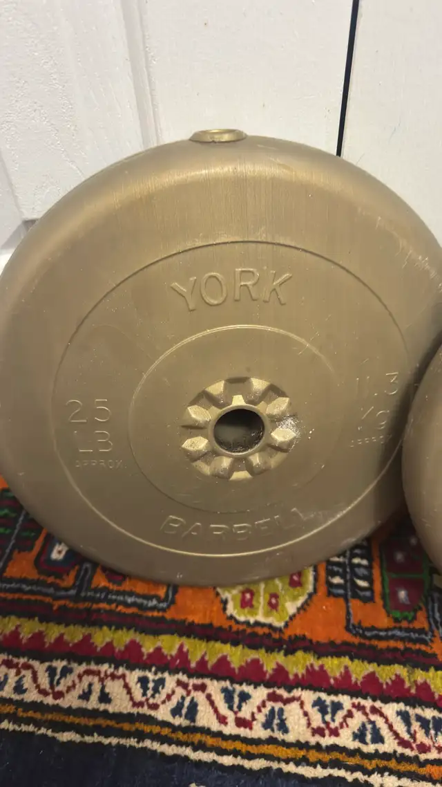 25lbs Barbell Weights in Exercise Equipment in Ottawa - Image 3