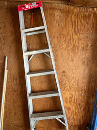 6ft ladders $50 each