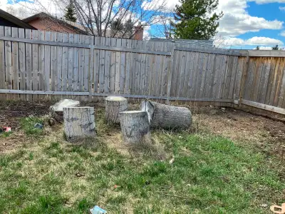 Hi, I had a tree cut down last year and I got big pieces of wood, View more