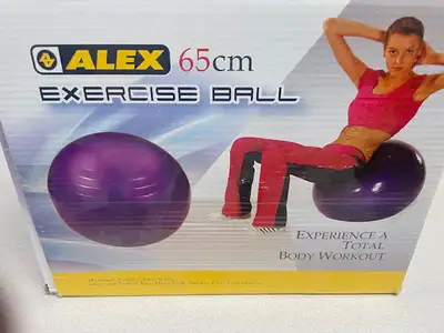 Exercise Ball, View more