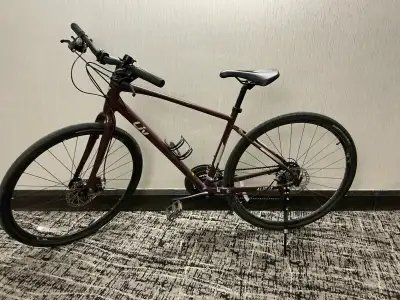	2022 Liv Alight Disc 3 Women's Road Hybrid Bike , View more