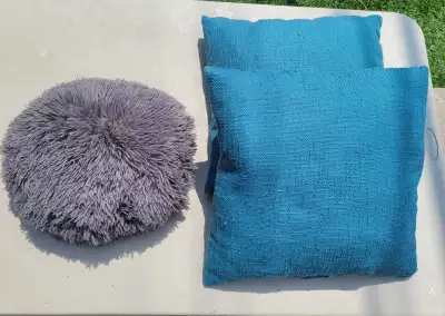 Accent Pillows ($2 each), View more