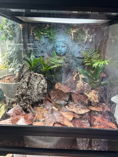 Exoterra terrarium  18x18x18, View more