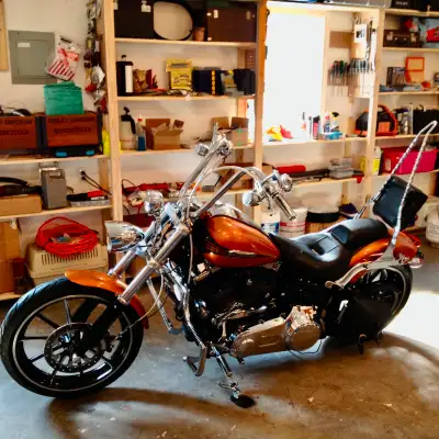 Too many options to list: There is what you can see plus an upgraded suspension, SE204 cam, New batt...