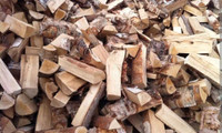 Cut and split birch fire wood 