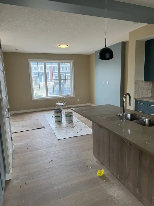 Professional Painter505382055162030081