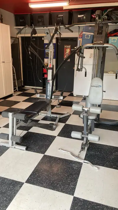 Home Gym-Eurosport Fitness and/or Bowflex Conquest, View more