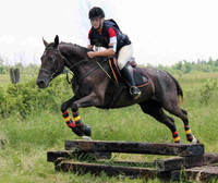 Seeking horses & riders for free photoshoots
