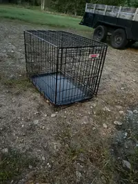 Petite cage à chien 