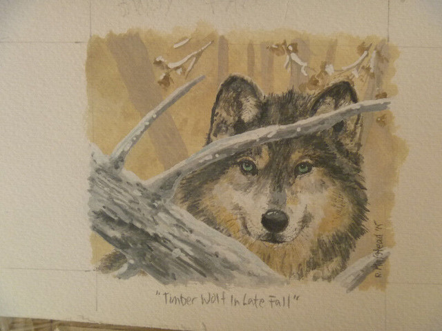 Timber Wolf  ORIGINAL ART - various sizes in Arts & Collectibles in Winnipeg - Image 2