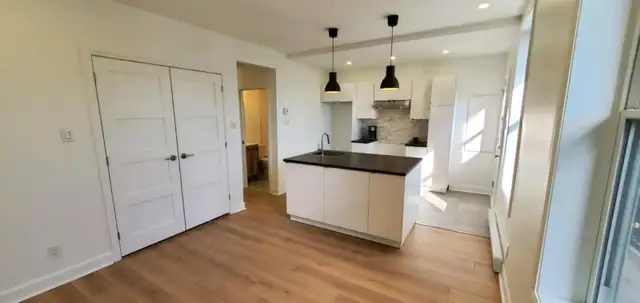 VERDUN , magnifique 4 1/2 complètement rénové in Long Term Rentals in City of Montréal - Image 5