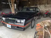 1988 Monte as