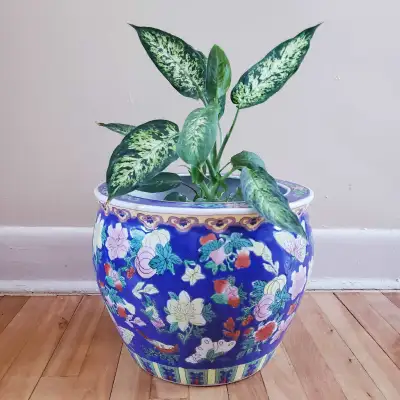 In perfect condition. Has been well maintained over time and in great condition. No chips, cracks or...