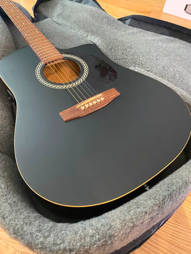 Art & Luthier guitar