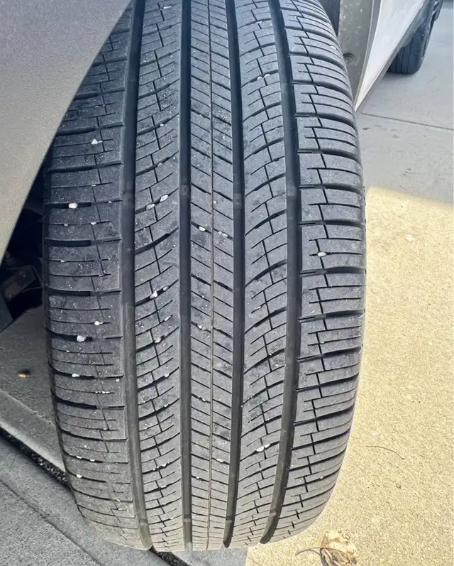 Ford Escape 2019592802214262220807