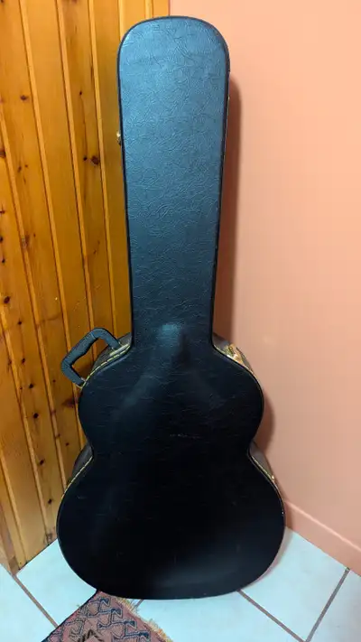 Guitar Case, View more