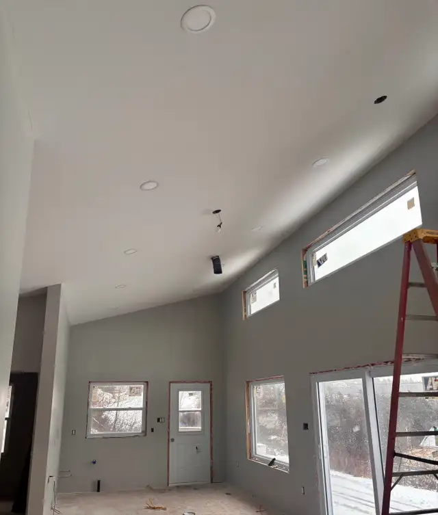 A ‘Couple’ of Painters-Professional Painters