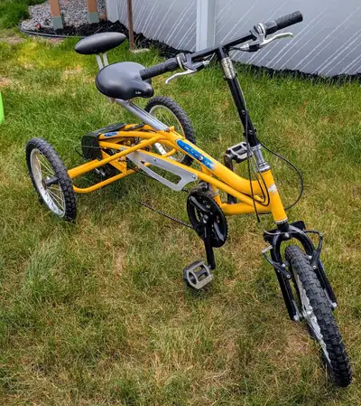 Tricycle CCM PRO, EVOX 120, View more