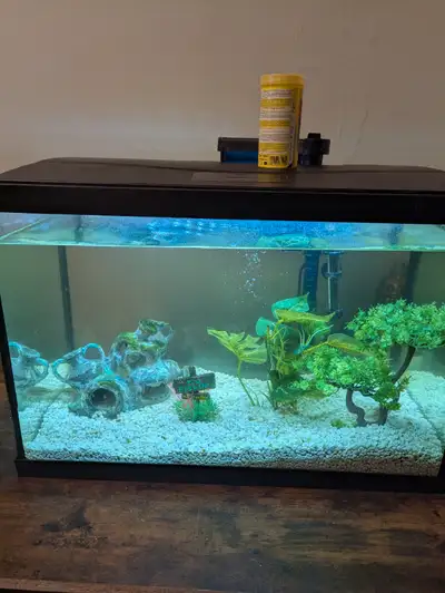 Selling everything that came with the fish tank. It is about a 25-30 gal tank and i paid over $250 e...