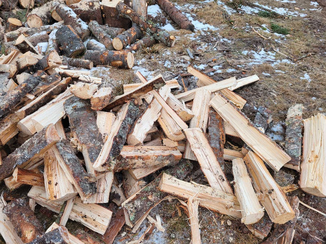 Firewood in Other in Cape Breton - Image 2