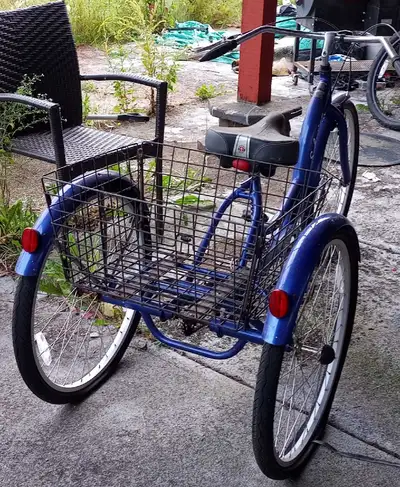 schwinn meridian tricycle , View more