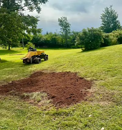 Stump Grinding, View more