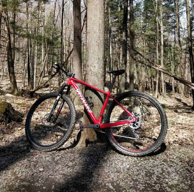 Specialized Stumpjumper Marathon Carbon