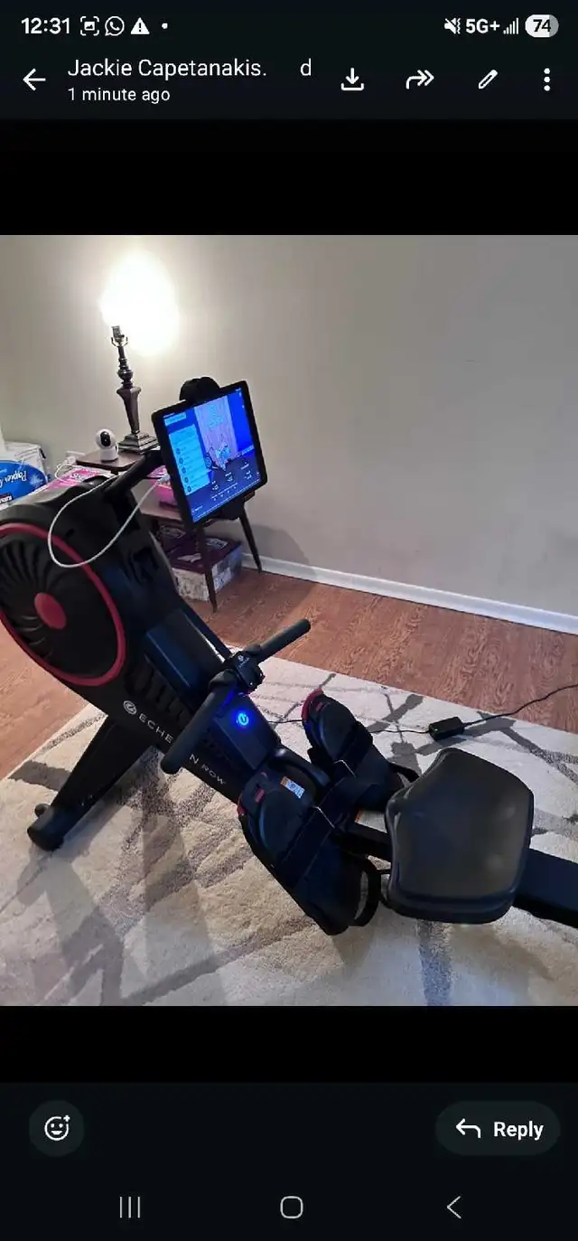 REGATTA SMART ROWER - ECHELON432473275200317442