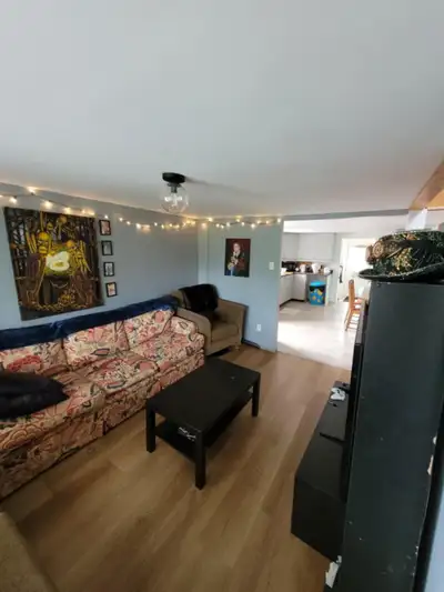 Roommate wanted