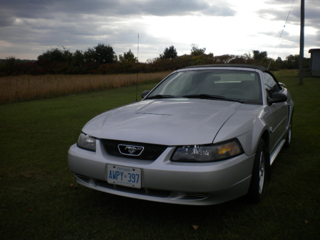 2004 Ford Mustang convertible/ 2004 Ford Mustang décapotable in Cars & Trucks in Cornwall - Image 2