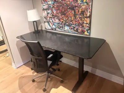 Large Electric Standing Desk – Height Adjustable not working  , View more