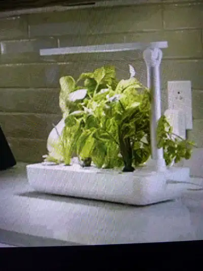 Vegehome Jardin Hydroponic Indoor Garden, View more