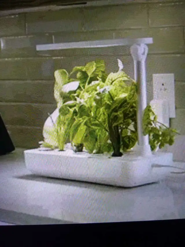 Vegehome Jardin Hydroponic Indoor Garden in Plants, Fertilizer & Soil in City of Toronto - Image 2