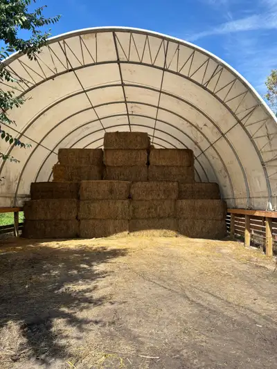 Low Quality Hay, View more