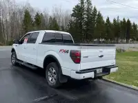 2013 Ford Truck