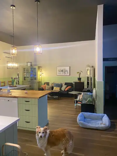 Looking for a roommate in my large 2 bedroom home rental. 12 foot high ceilings, an acre of space (g...